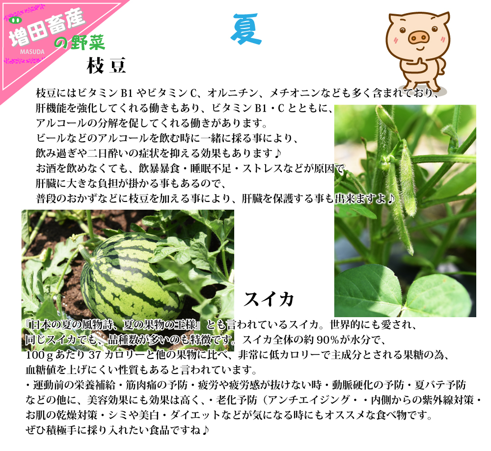 夏の野菜　枝豆・スイカ